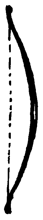 Рольф в лесах - pic022.png