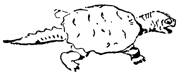 Рольф в лесах - pic030.png