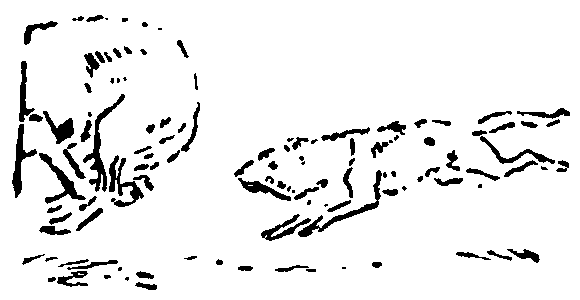 Рольф в лесах - pic035.png