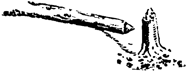 Рольф в лесах - pic044.png