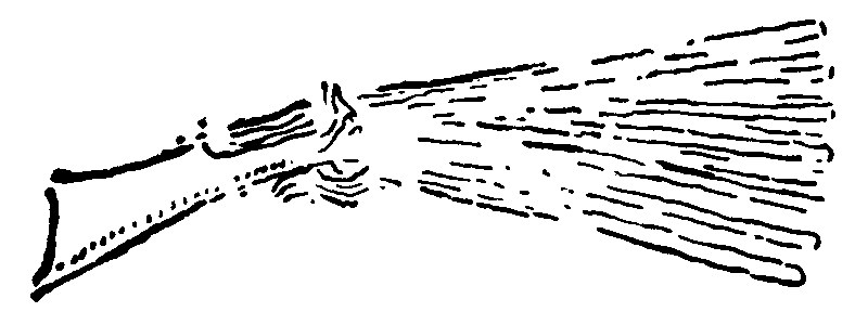 Рольф в лесах - pic048.png