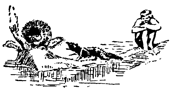 Рольф в лесах - pic053.png