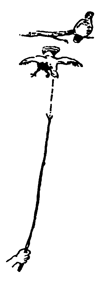 Рольф в лесах - pic054.png