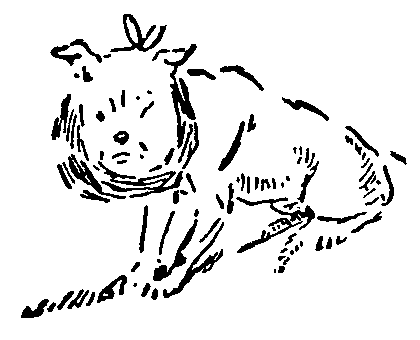 Рольф в лесах - pic055.png