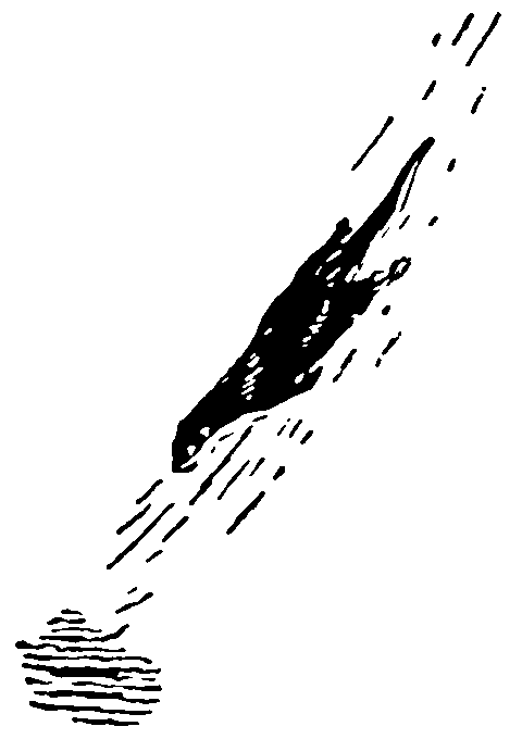 Рольф в лесах - pic056.png