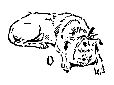 Рольф в лесах - pic057.png