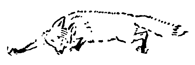 Рольф в лесах - pic063.png