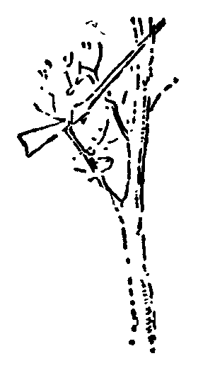 Рольф в лесах - pic083.png