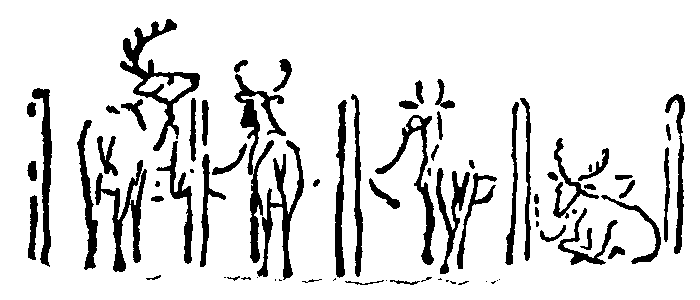 Рольф в лесах - pic084.png