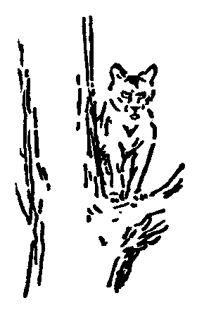 Рольф в лесах - pic085.png