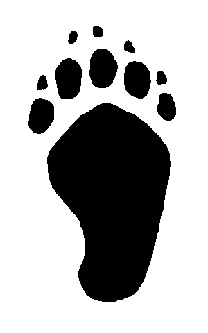 Рольф в лесах - pic091.png