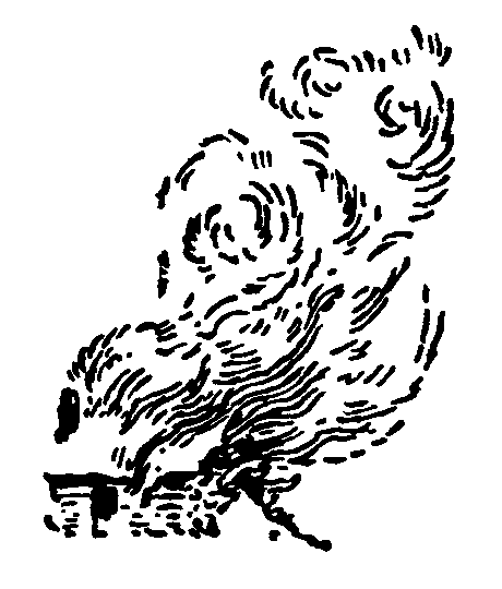 Рольф в лесах - pic099.png