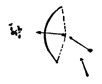 Рольф в лесах - pic103.png