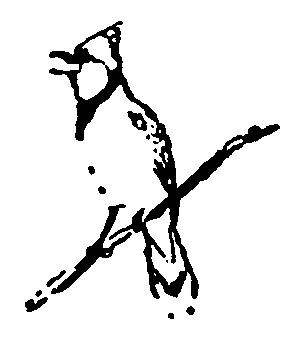 Рольф в лесах - pic104.png