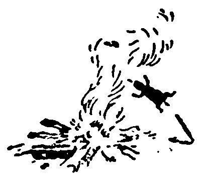 Рольф в лесах - pic106.png