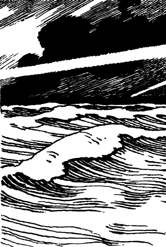 От заката до рассвета - i_008.png