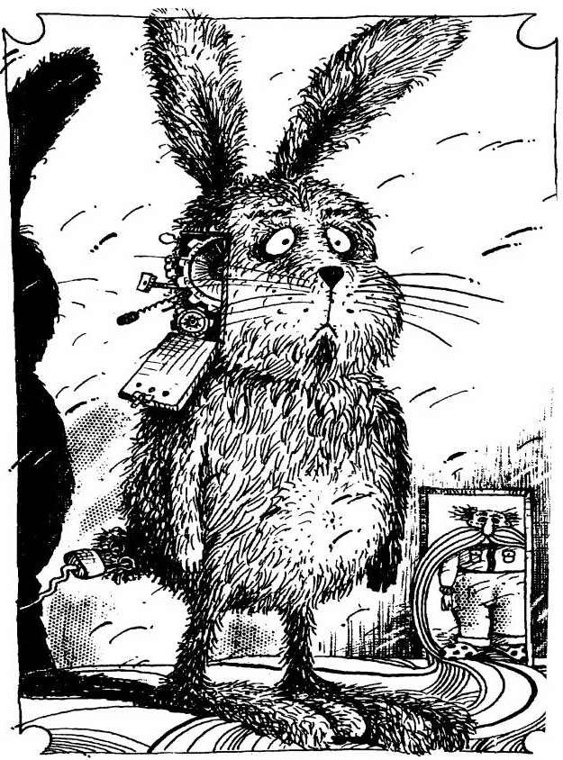 Веселые Приключения Зайца Пуса (полный текст) - i_009.jpg