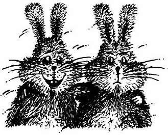 Веселые Приключения Зайца Пуса (полный текст) - i_010.jpg