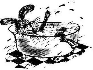 Веселые Приключения Зайца Пуса (полный текст) - i_017.jpg