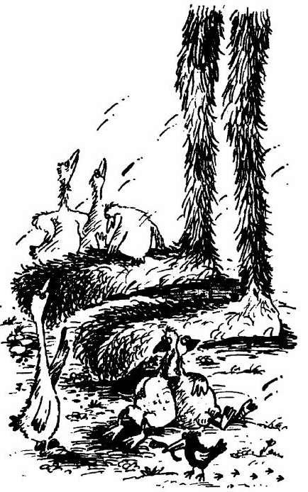 Веселые Приключения Зайца Пуса (полный текст) - i_018.jpg