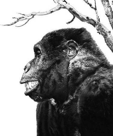 Удивительная археология - i_074.jpg