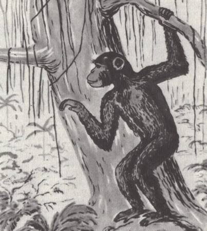 Удивительная археология - i_075.jpg