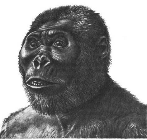 Удивительная археология - i_078.jpg