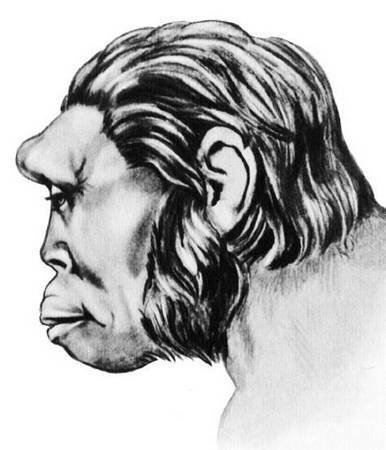 Удивительная археология - i_080.jpg