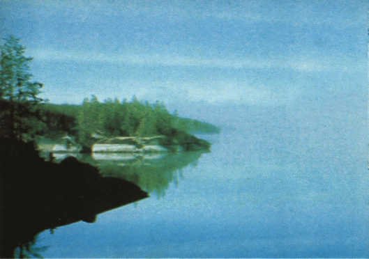 Лососи, бобры, каланы - i_071.jpg