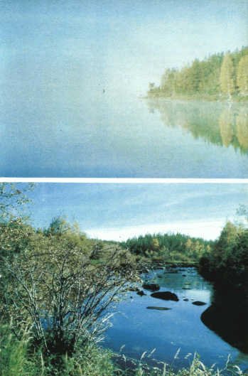 Лососи, бобры, каланы - i_072.jpg