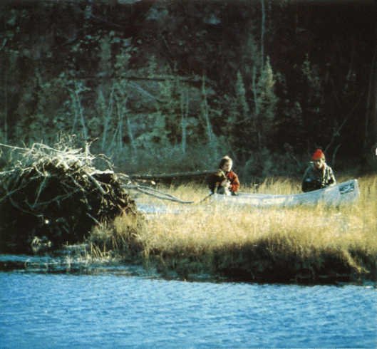 Лососи, бобры, каланы - i_075.jpg