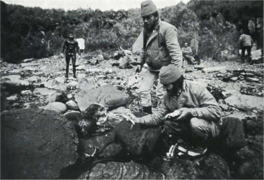 Лососи, бобры, каланы - i_095.jpg