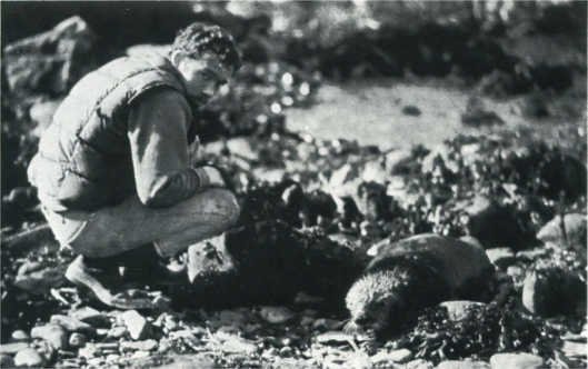 Лососи, бобры, каланы - i_096.jpg