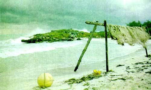 Сюрпризы моря - i_061.jpg