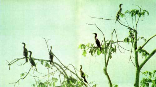 Сюрпризы моря - i_067.jpg