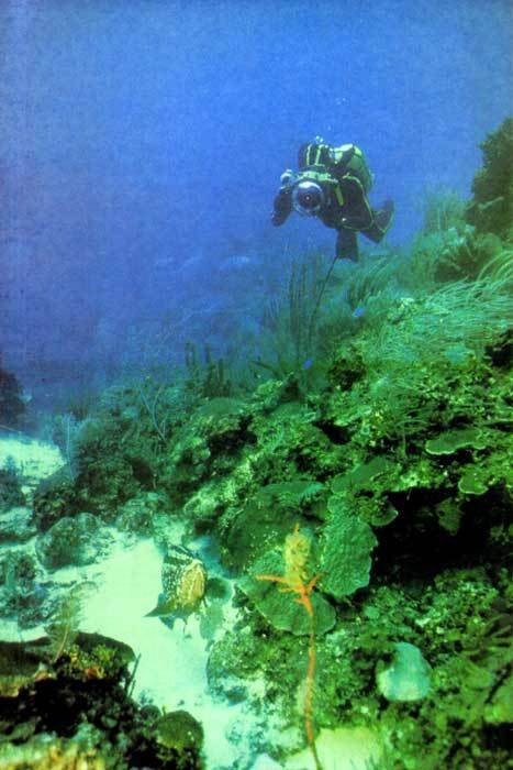 Сюрпризы моря - i_091.jpg