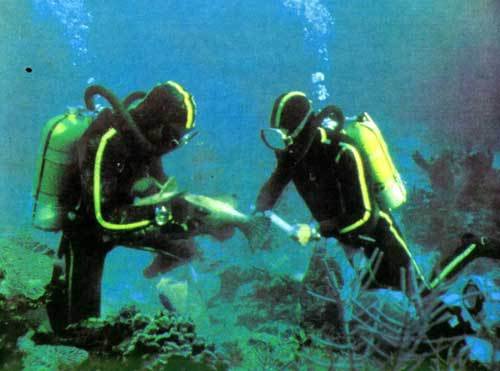 Сюрпризы моря - i_099.jpg