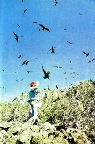 Сюрпризы моря - i_108.jpg