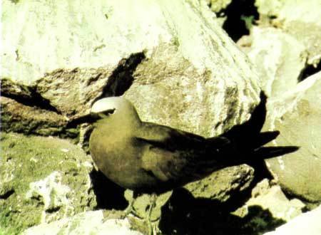 Сюрпризы моря - i_112.jpg