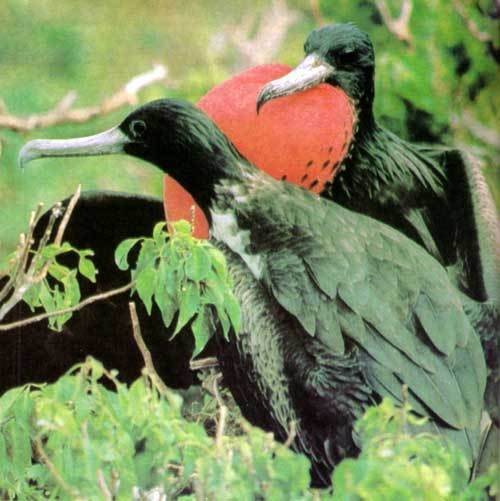 Сюрпризы моря - i_114.jpg