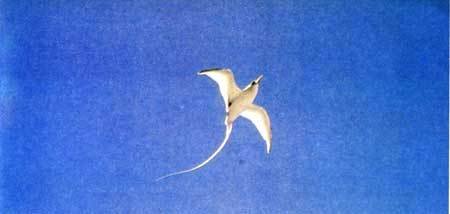 Сюрпризы моря - i_121.jpg