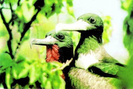 Сюрпризы моря - i_123.jpg