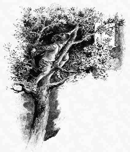 Три мушкетера (ил. М.Лелуара) - index214_1.jpg