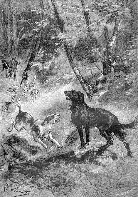 Малыш (илюстр) - _057.jpg