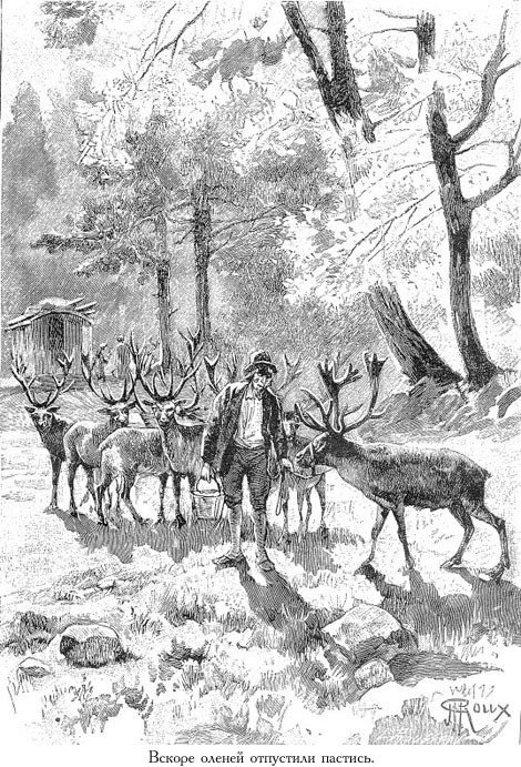 Цезарь Каскабель (иллюстр.) - _079.jpg