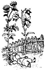 Незнайка на Луне (с иллюстрациями) - i_020.png