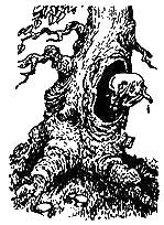 Незнайка на Луне (с иллюстрациями) - i_124.png
