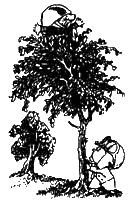 Незнайка на Луне (с иллюстрациями) - i_185.png
