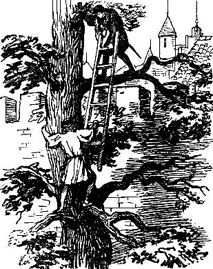 Асканио - i_012.png