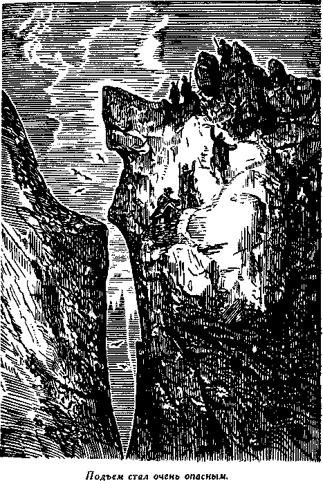 Дети капитана Гранта - i_015.png